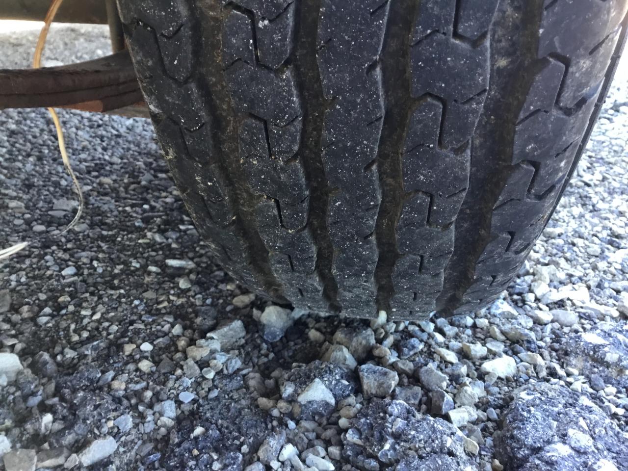 Homesteader Patriot  2016