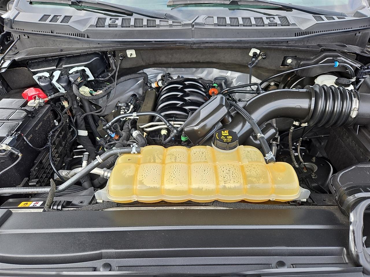 Ford F-150 XLT SuperCrew 6.5-ft. Bed 4WD 2020