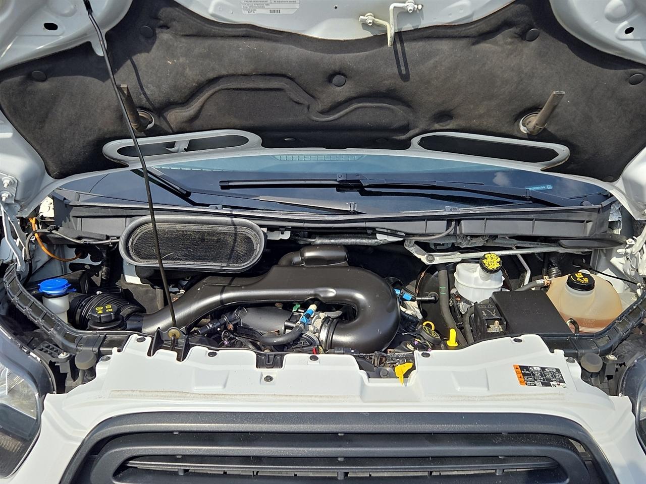 Ford Transit 250 Van Low Roof 60/40 Pass.130-in. WB 2019