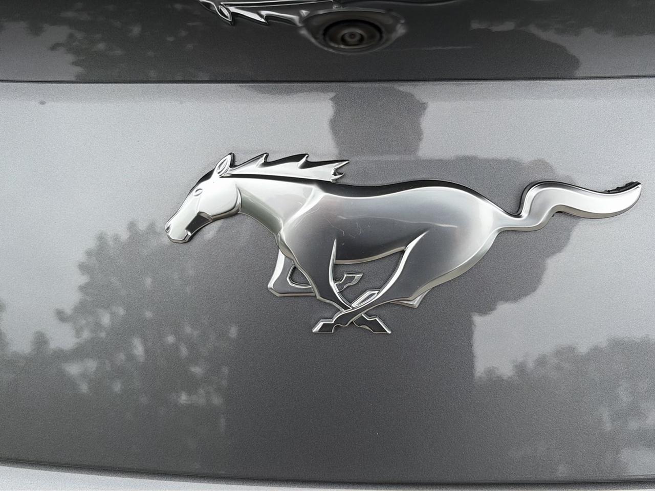 Ford Mustang EcoBoost Convertible 2024