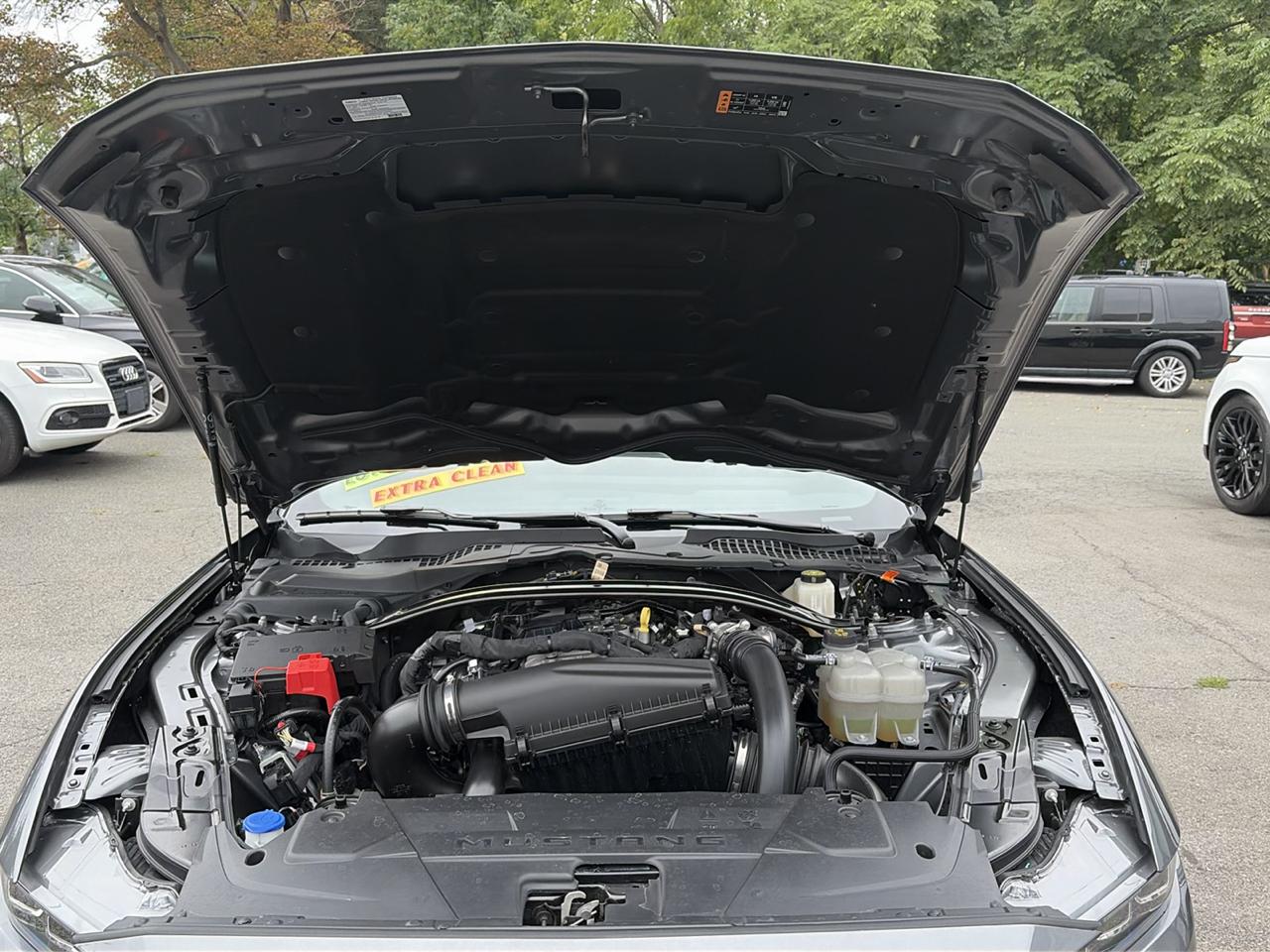 Ford Mustang EcoBoost Convertible 2024