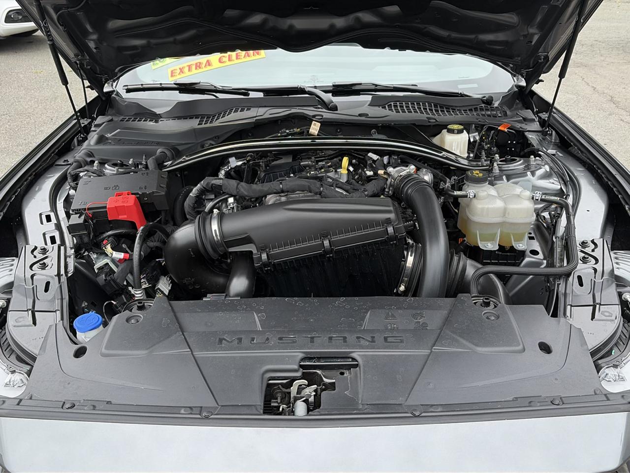 Ford Mustang EcoBoost Convertible 2024