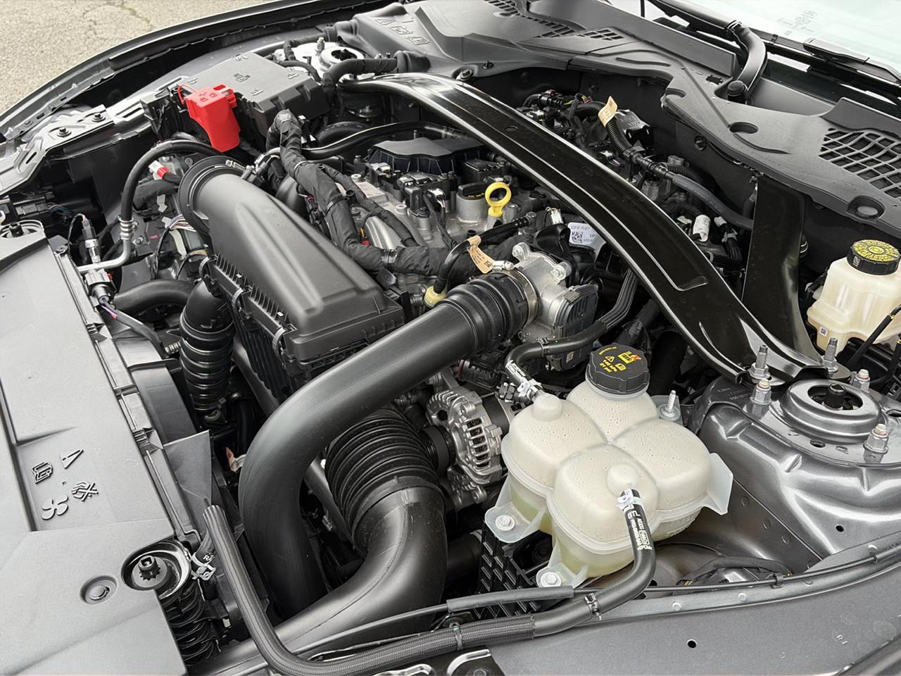 Ford Mustang EcoBoost Convertible 2024