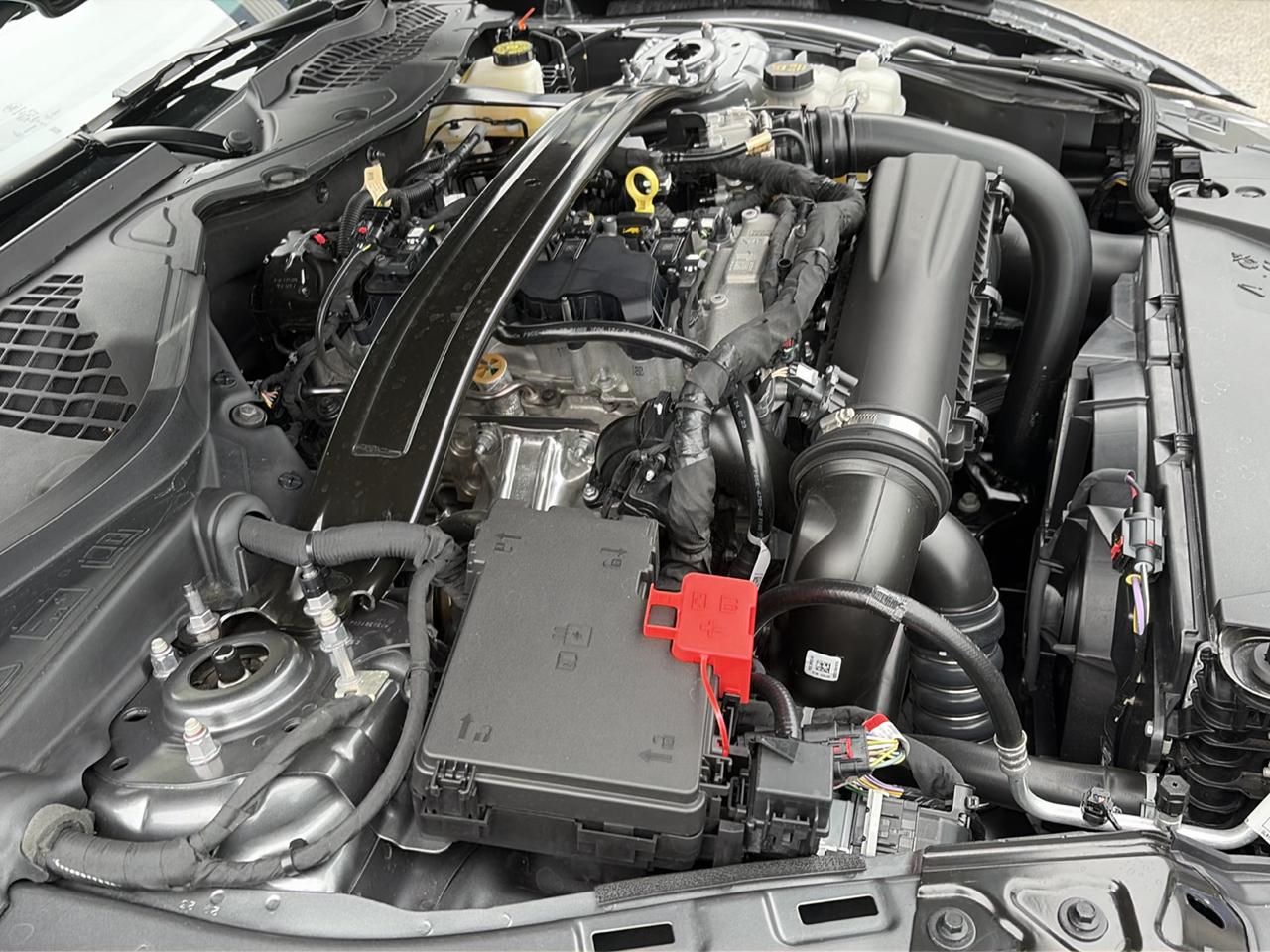 Ford Mustang EcoBoost Convertible 2024