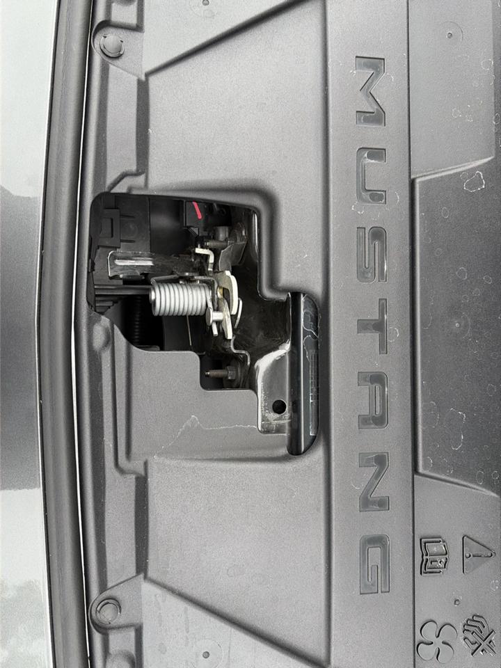 Ford Mustang EcoBoost Convertible 2024
