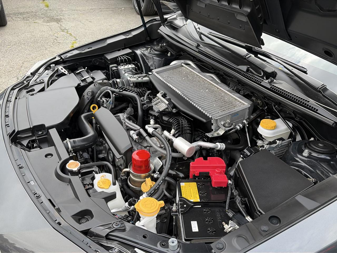Subaru WRX Manual 2024