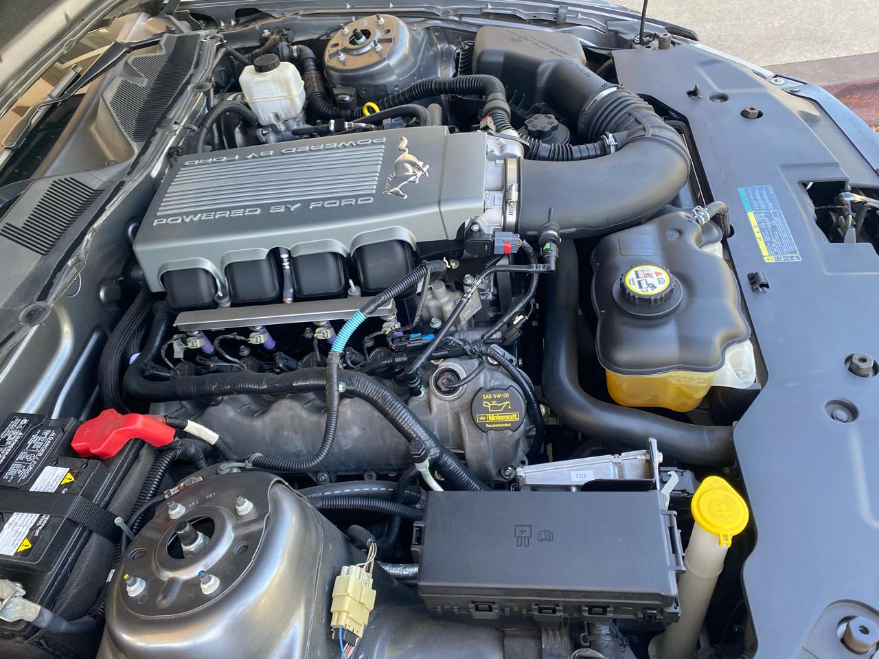 Ford Mustang GT Coupe 2010