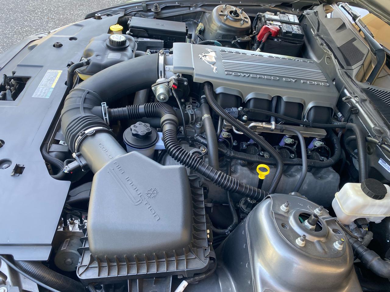 Ford Mustang GT Coupe 2010