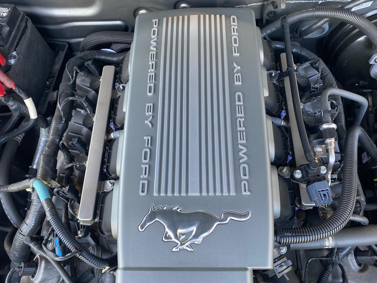 Ford Mustang GT Coupe 2010