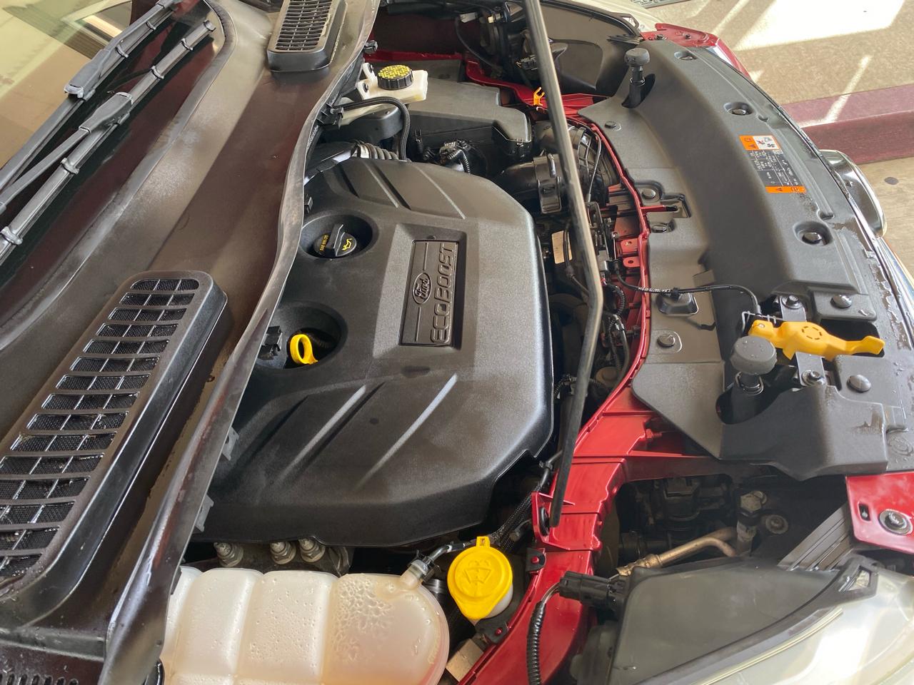 Ford Escape FWD 4dr SEL 2013