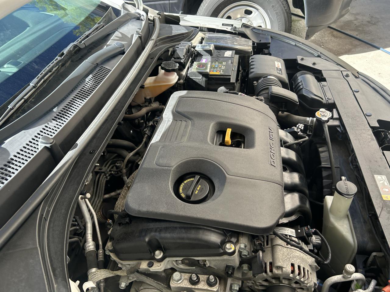 Hyundai Elantra SE Auto 2019