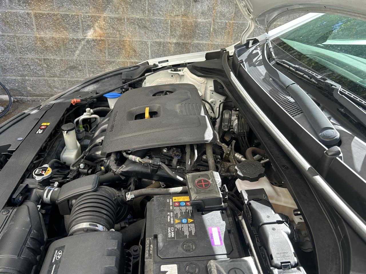 Hyundai Elantra SE Auto 2019