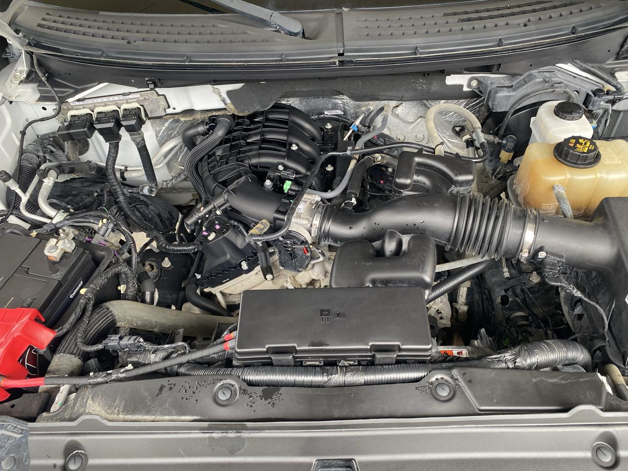 Ford F-150 4WD Reg Cab 145" XL 2013