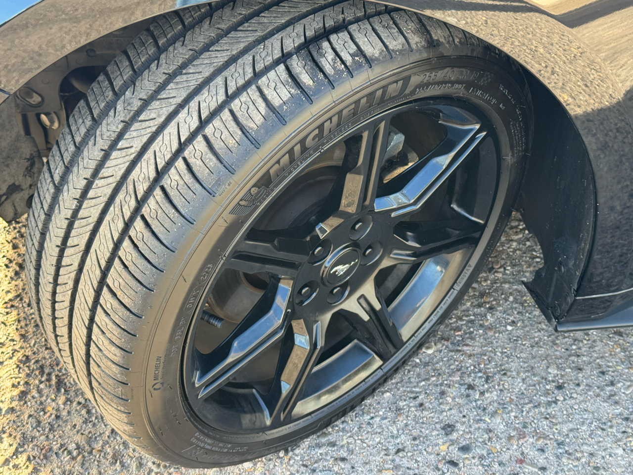 Ford Mustang EcoBoost Coupe 2019