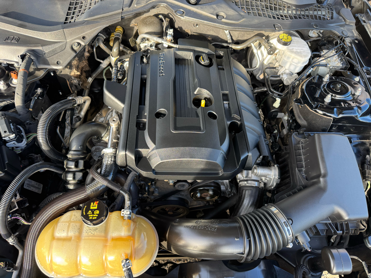 Ford Mustang EcoBoost Coupe 2019