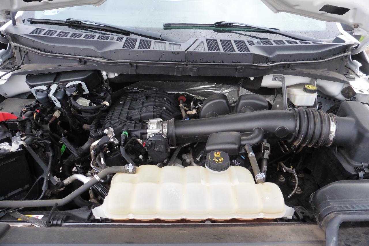 Ford F-150 4WD Reg Cab 141" XL 2022