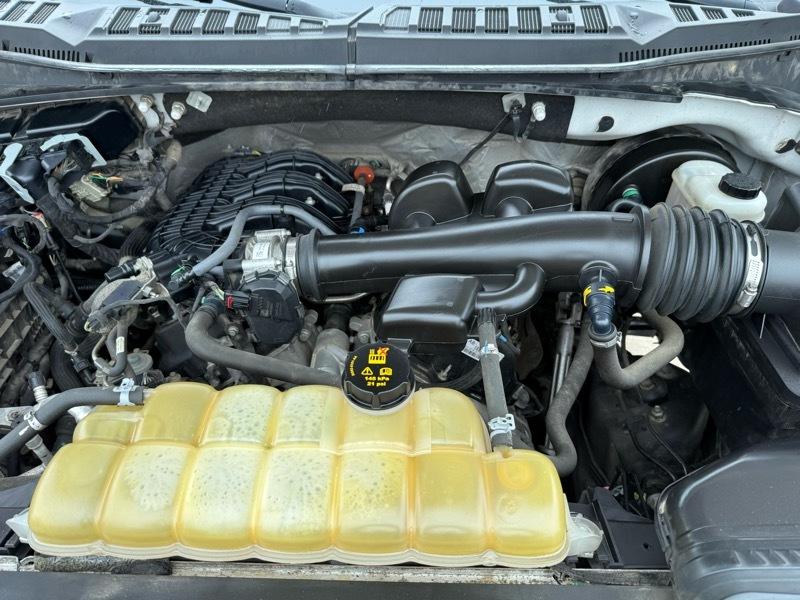 Ford F-150 XL 8-ft. Bed 2WD 2019