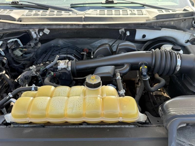 Ford F-150 XL 8-ft. Bed 2WD 2019