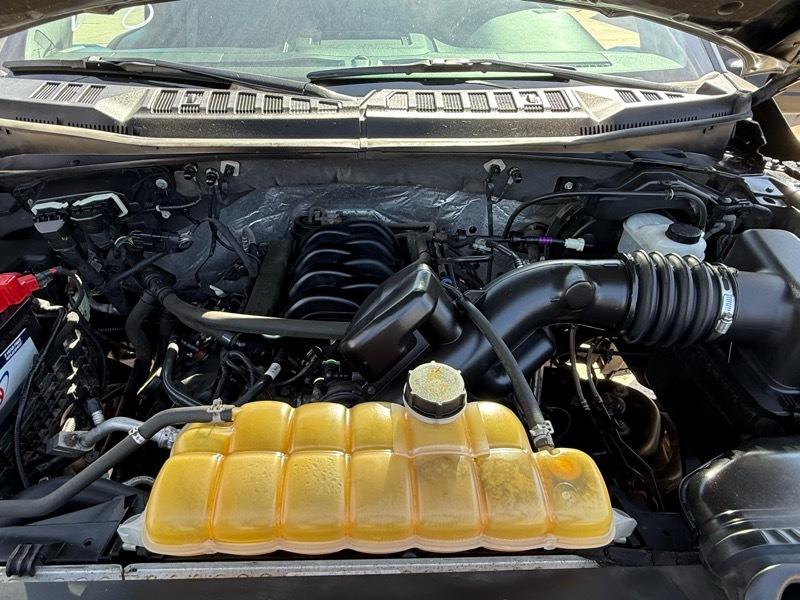 Ford F-150 XLT SuperCrew 5.5-ft. Bed 4WD 2017