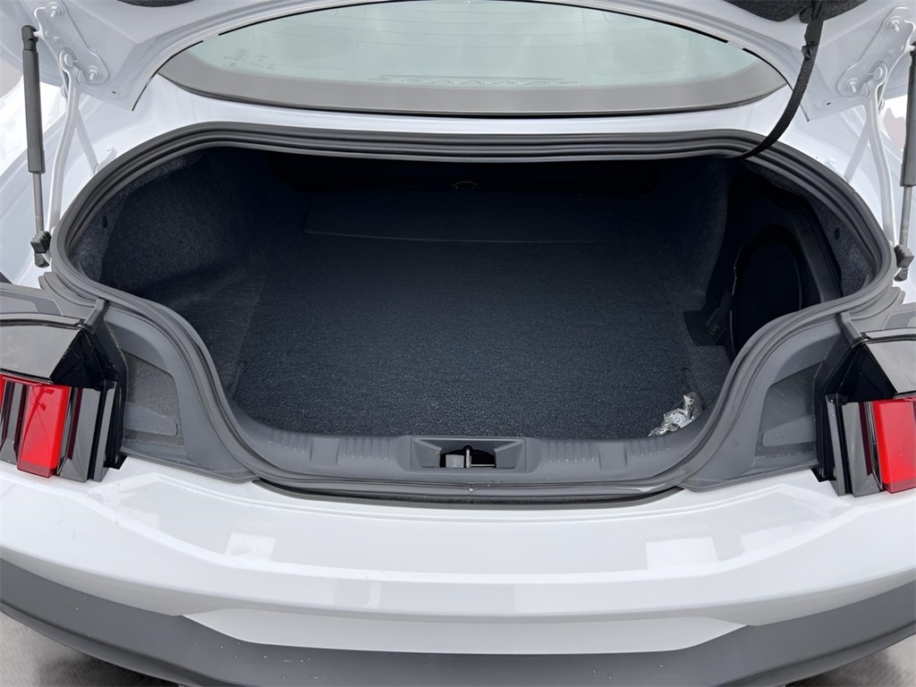 Ford Mustang Dark Horse 2024