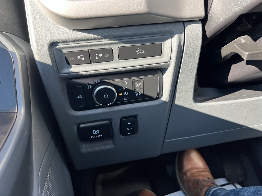 Ford F-150 XLT SuperCrew 5.5-ft. Bed 4WD 2021