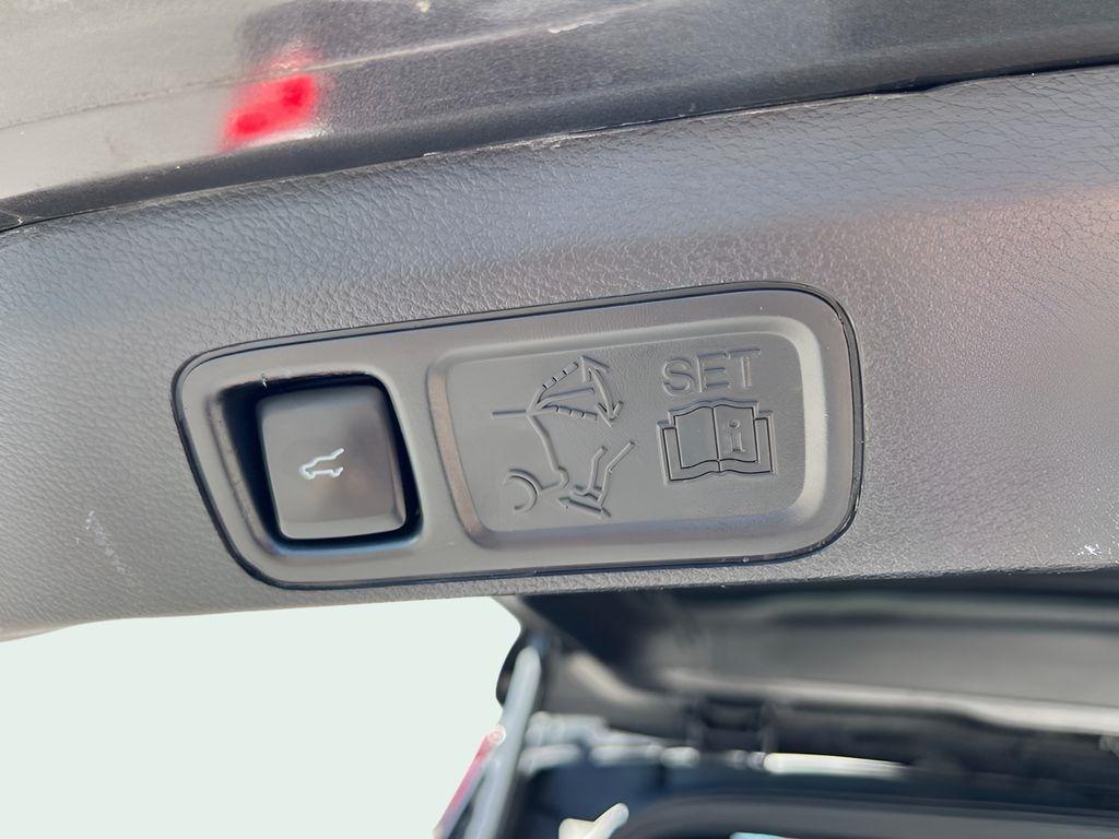 Ford Expedition XLT 4WD 2020