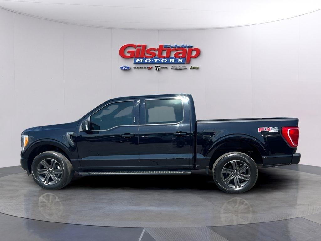 Ford F-150 XLT SuperCrew 5.5-ft. Bed 4WD 2023