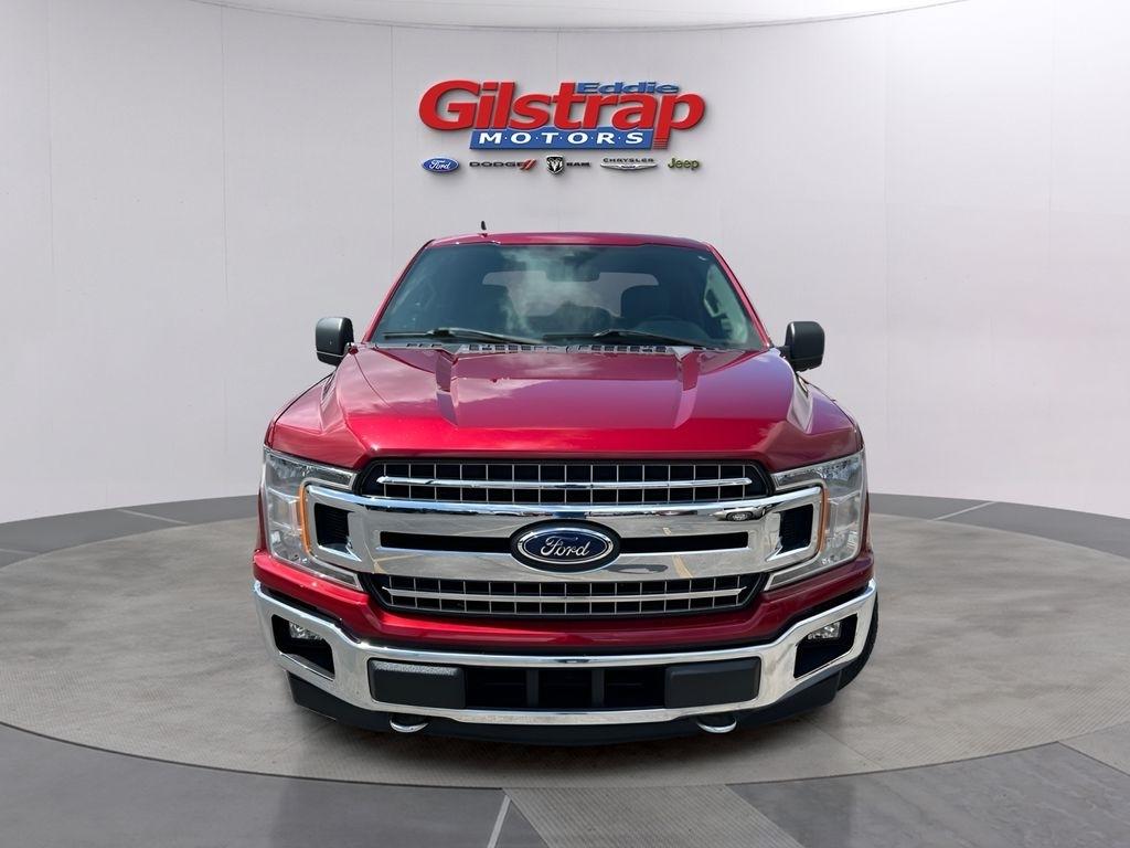 Ford F-150 XLT SuperCrew 6.5-ft. Bed 4WD 2019
