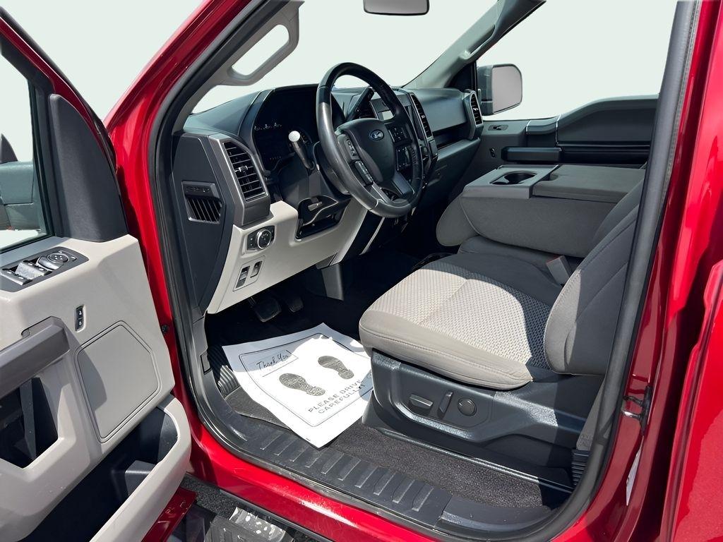 Ford F-150 XLT SuperCrew 6.5-ft. Bed 4WD 2019