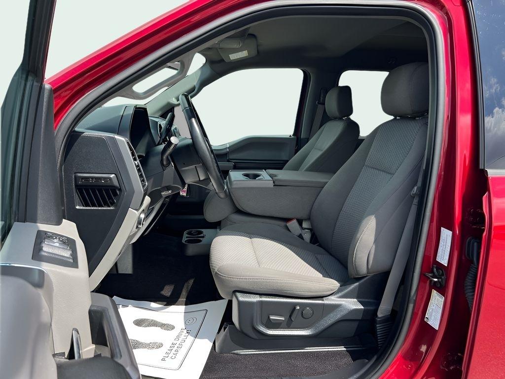 Ford F-150 XLT SuperCrew 6.5-ft. Bed 4WD 2019