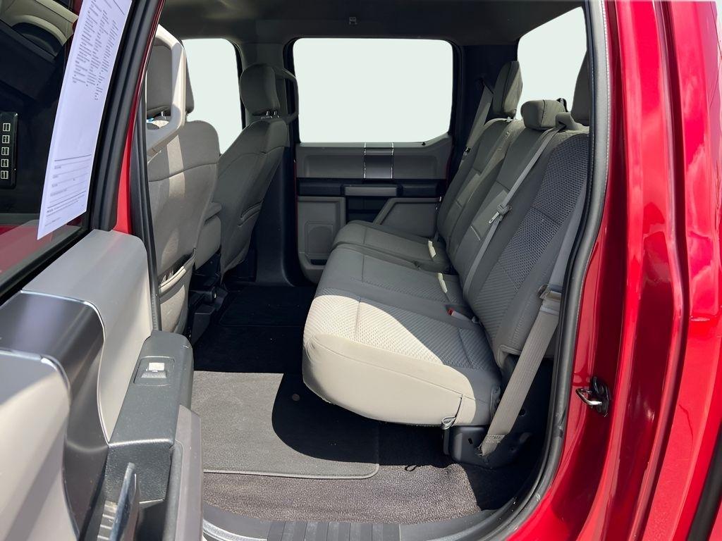 Ford F-150 XLT SuperCrew 6.5-ft. Bed 4WD 2019