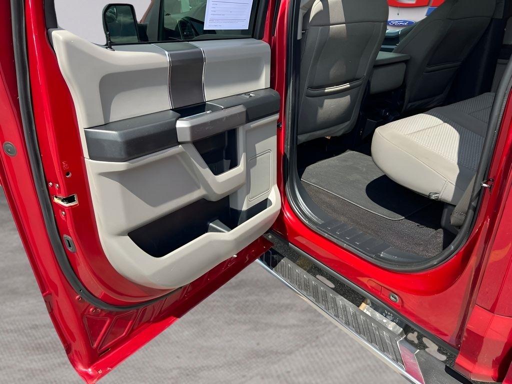 Ford F-150 XLT SuperCrew 6.5-ft. Bed 4WD 2019