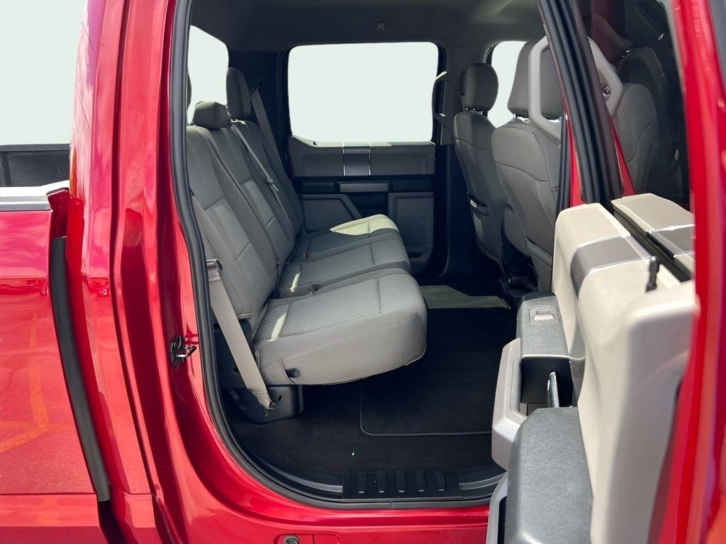 Ford F-150 XLT SuperCrew 6.5-ft. Bed 4WD 2019