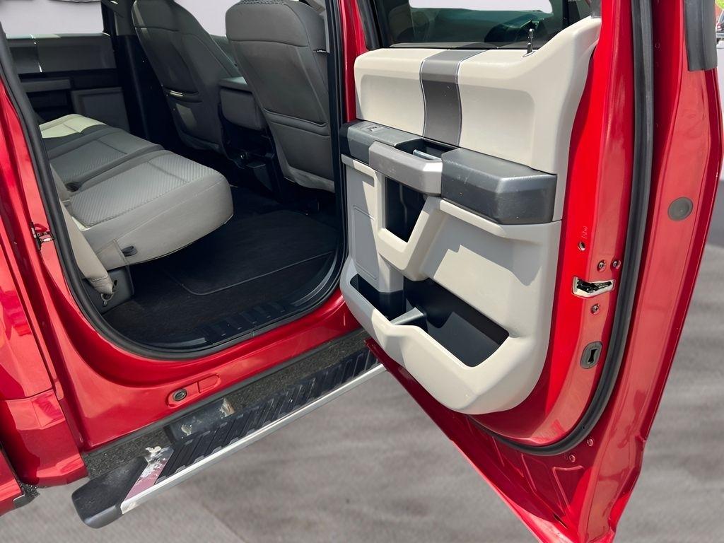 Ford F-150 XLT SuperCrew 6.5-ft. Bed 4WD 2019