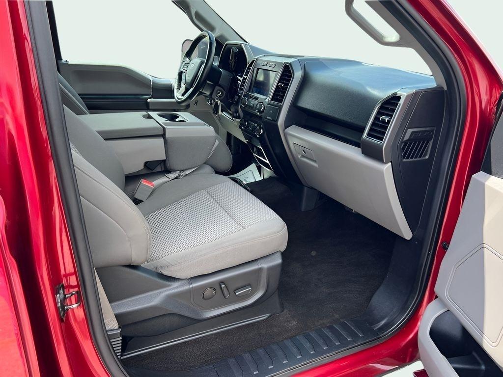 Ford F-150 XLT SuperCrew 6.5-ft. Bed 4WD 2019