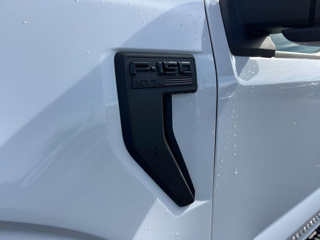 Ford F-150 XL SuperCrew 6.5-ft. Bed 4WD 2022