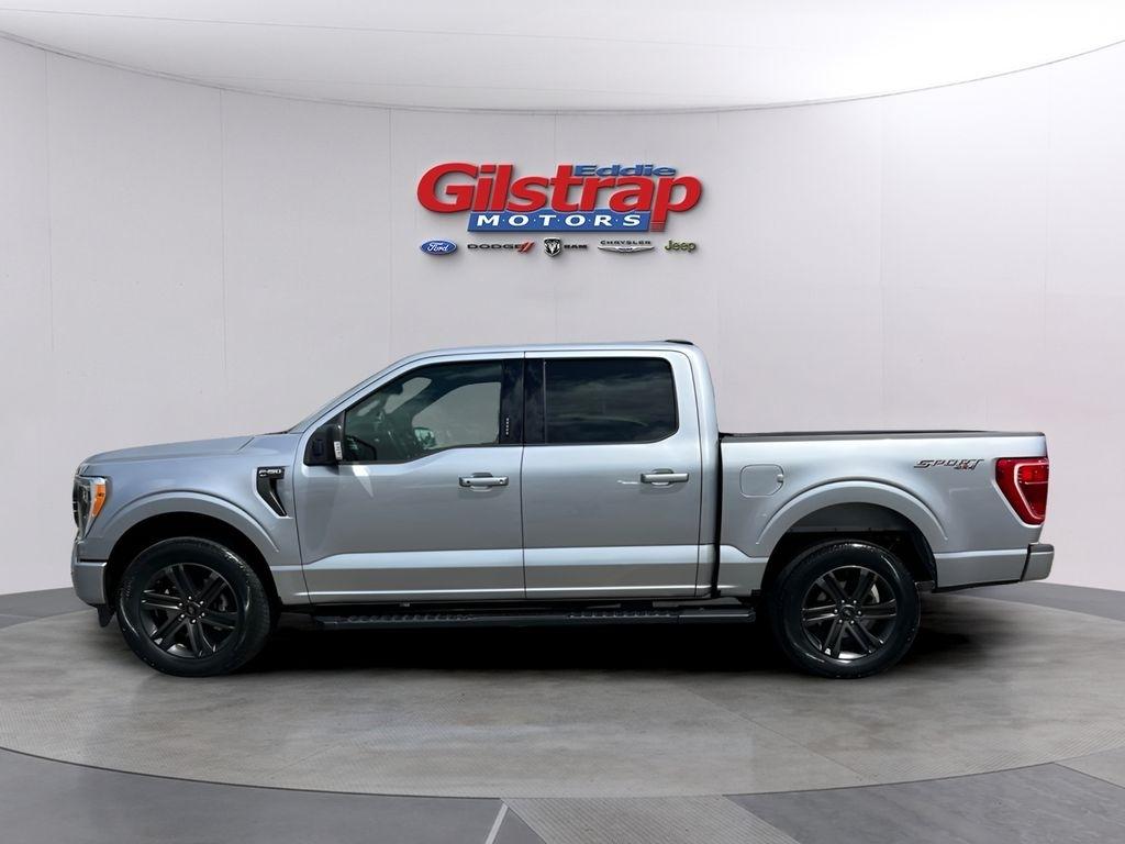 Ford F-150 XLT SuperCrew 5.5-ft. Bed 4WD 2022