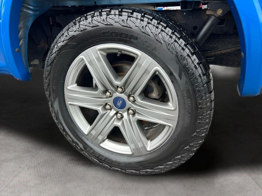 Ford F-150 XLT SuperCrew 6.5-ft. Bed 4WD 2019