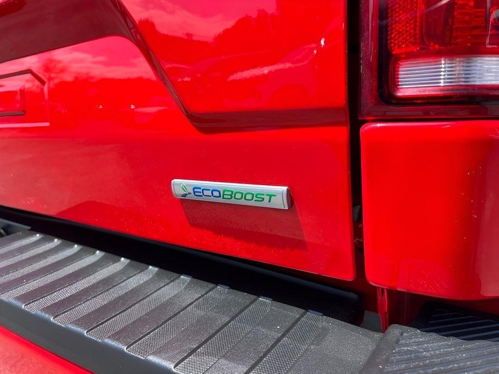 Ford F-150 XLT SuperCrew 6.5-ft. Bed 4WD 2019