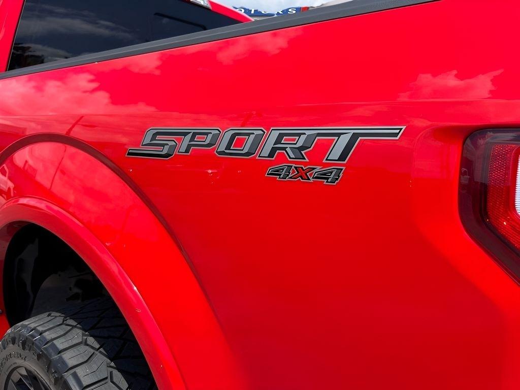 Ford F-150 XLT SuperCrew 6.5-ft. Bed 4WD 2019
