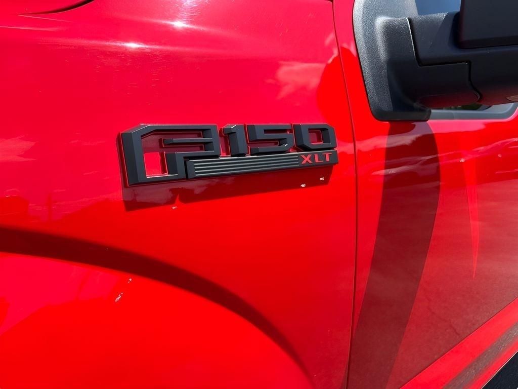 Ford F-150 XLT SuperCrew 6.5-ft. Bed 4WD 2019
