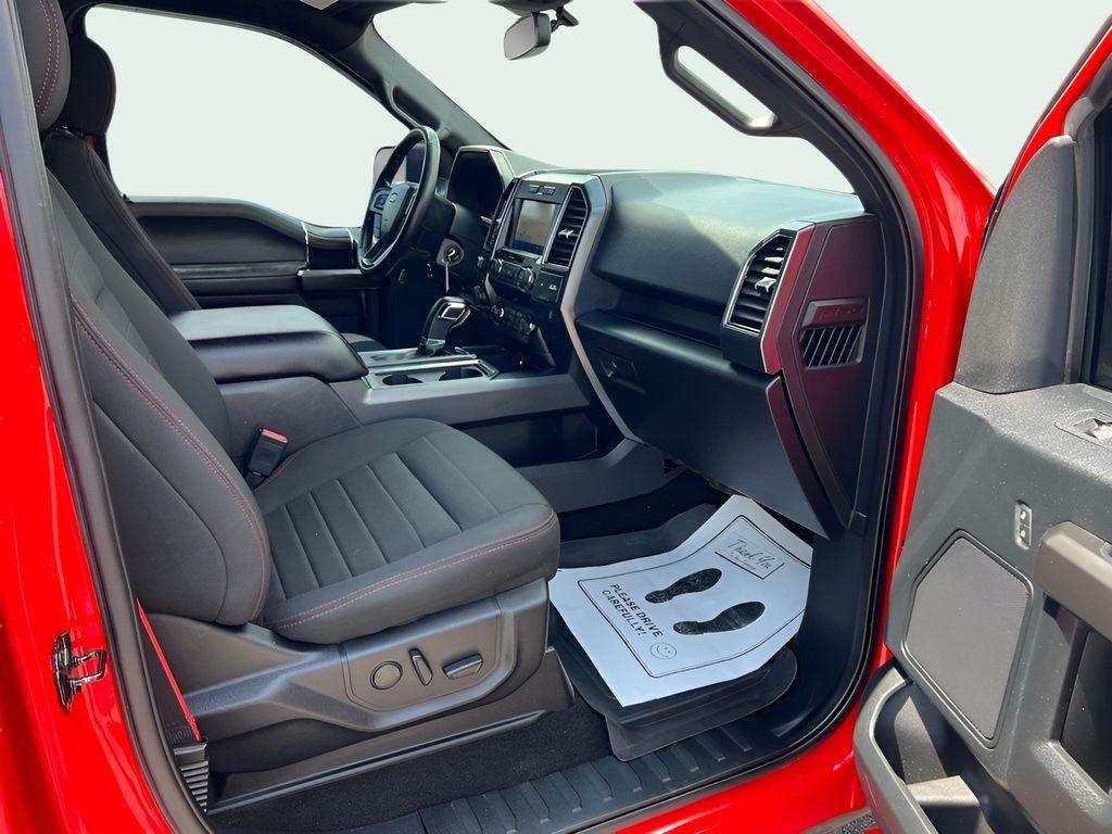Ford F-150 XLT SuperCrew 6.5-ft. Bed 4WD 2019
