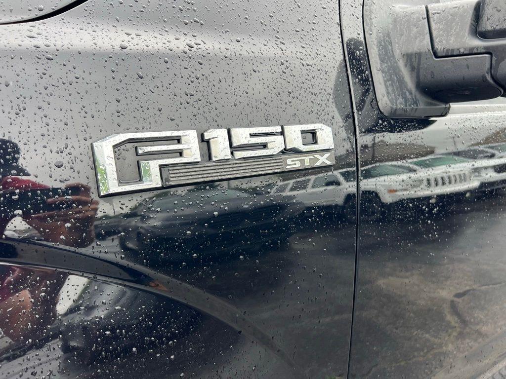 Ford F-150 XL SuperCrew 6.5-ft. Bed 4WD 2020