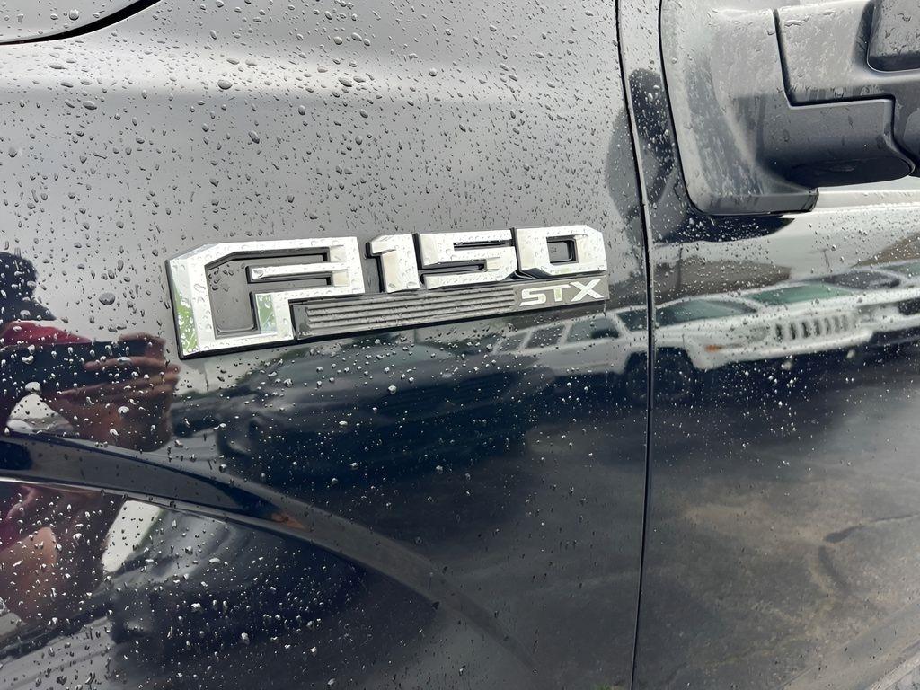 Ford F-150 XL SuperCrew 6.5-ft. Bed 4WD 2020