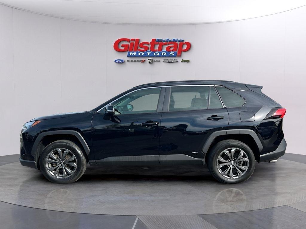 Toyota RAV4 Hybrid XLE Premium 2024