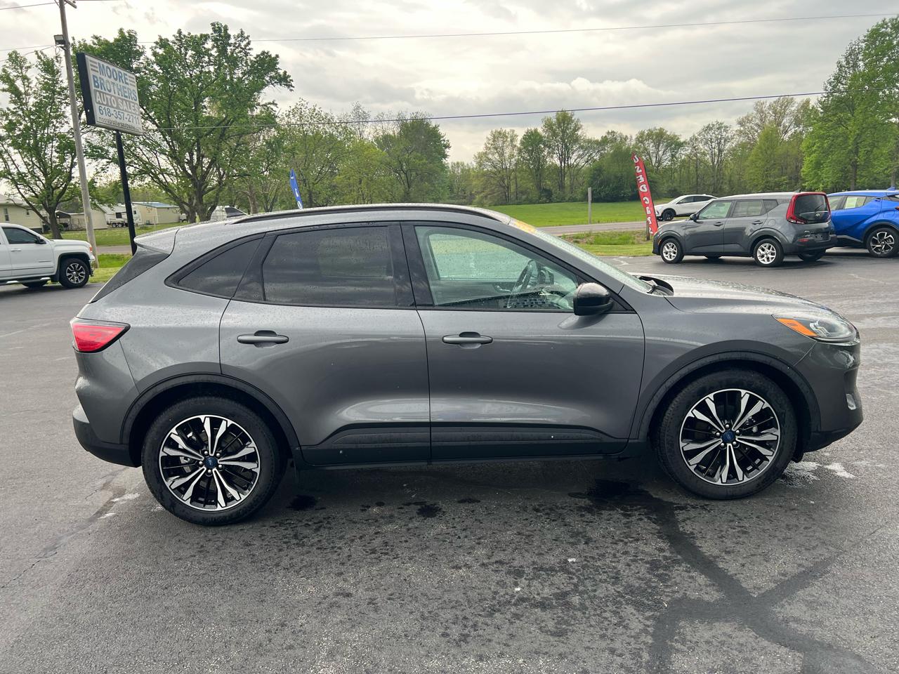 Ford Escape SE FWD 2021