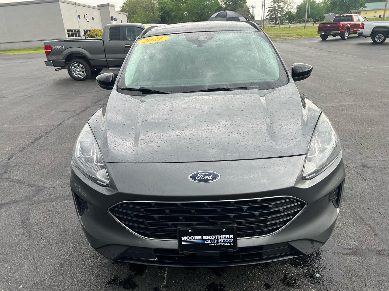 Ford Escape SE FWD 2021