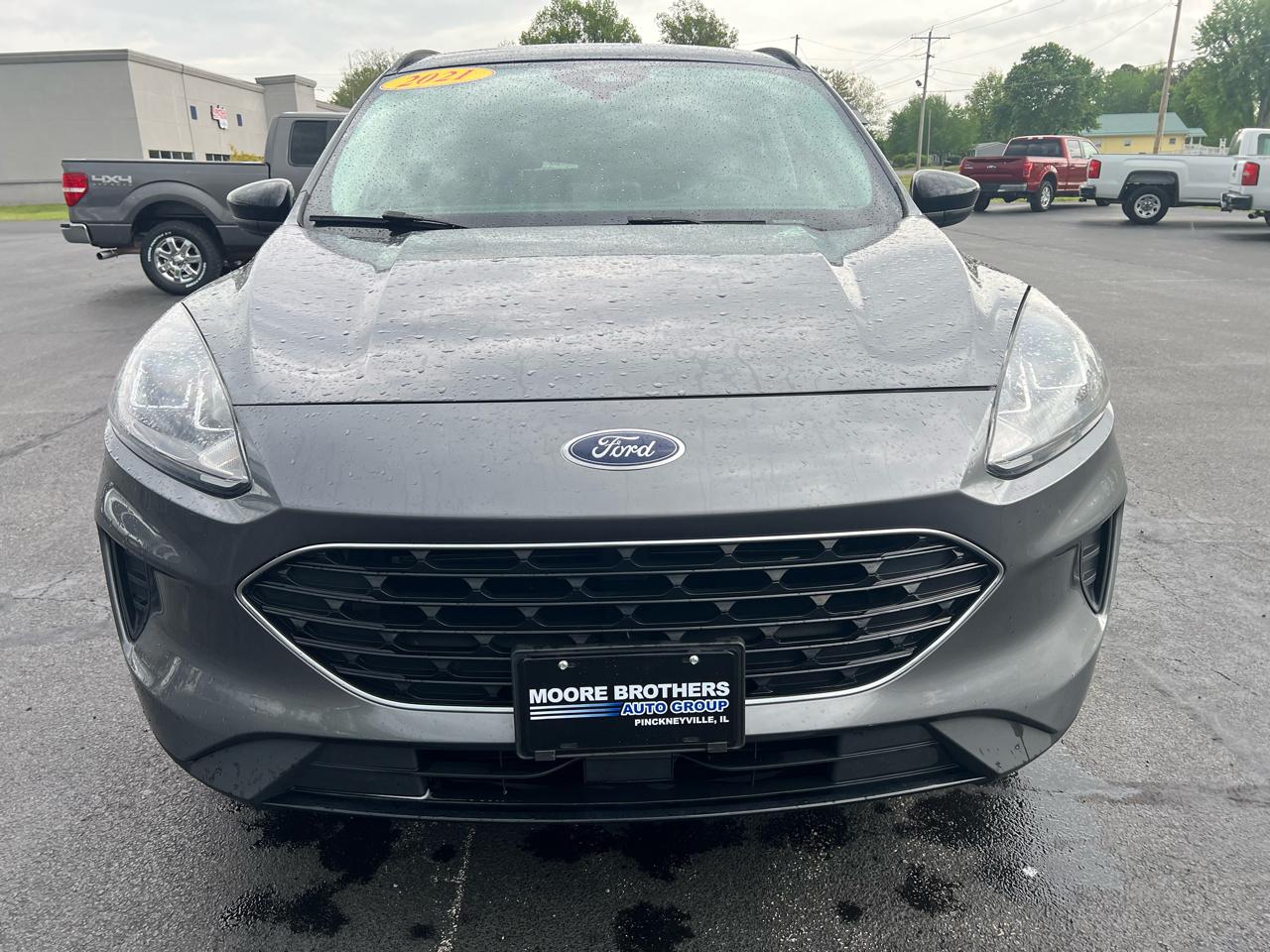 Ford Escape SE FWD 2021