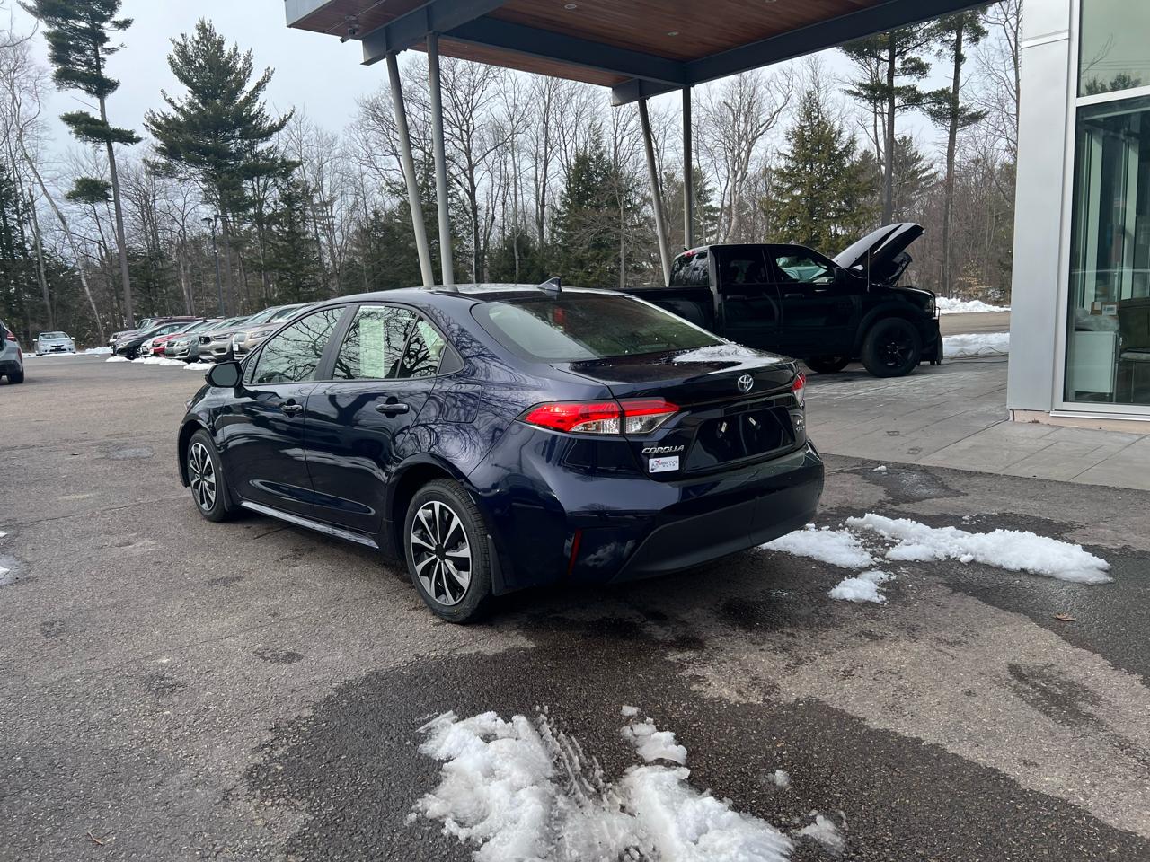 Toyota Corolla LE Hyb 4D Sedan 2025