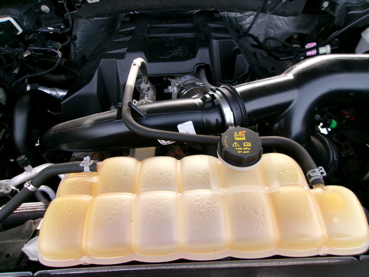 Ford F-150 XLT 4WD SuperCrew 5.5' Box 2015